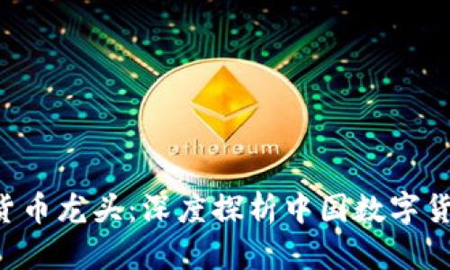 300079數(shù)字貨幣龍頭：深度探析中國數(shù)字貨幣行業(yè)的先驅(qū)