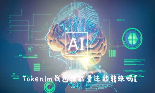  Tokenim錢包沒能量還能轉(zhuǎn)賬嗎？