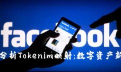 深入分析Tokenim映射：數(shù)字
