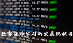 中國網(wǎng)絡(luò)數(shù)字貨幣公司的