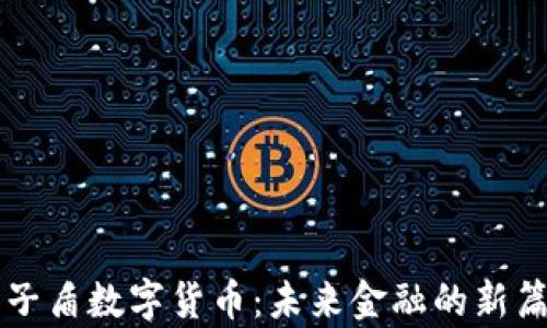 量子盾數(shù)字貨幣:未來金融的新篇章