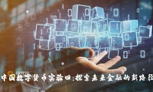中國數(shù)字貨幣實驗田:探索未來金融的新路徑