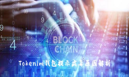 Tokenim錢包提示病毒原因解析