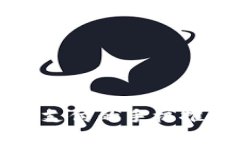 支持數(shù)字貨幣支付的手機