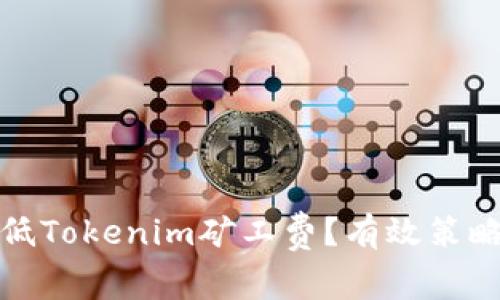 如何降低Tokenim礦工費？有效策略與建議