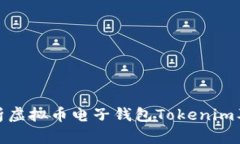 全面解析虛擬幣電子錢包