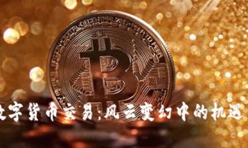 國內(nèi)數(shù)字貨幣交易:風(fēng)云變幻中的機(jī)遇與挑戰(zhàn)