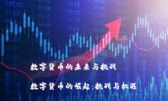 數(shù)字貨幣的未來(lái)與挑戰(zhàn)數(shù)