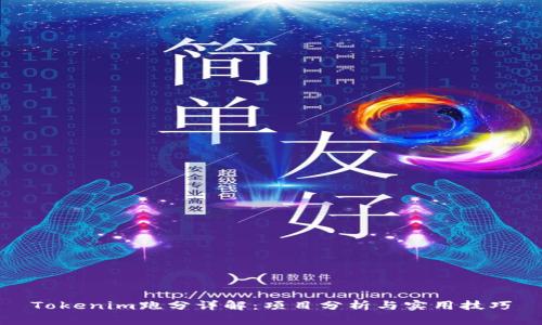 Tokenim跑分詳解：項(xiàng)目分析與實(shí)用技巧