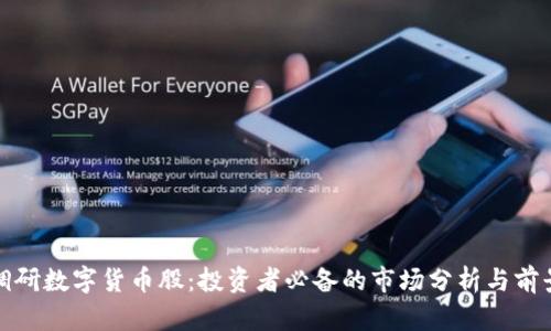 機(jī)構(gòu)調(diào)研數(shù)字貨幣股：投資者必備的市場(chǎng)分析與前景洞察