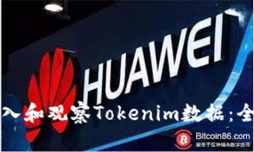 如何導入和觀察Tokenim數(shù)據(jù)：全面指南