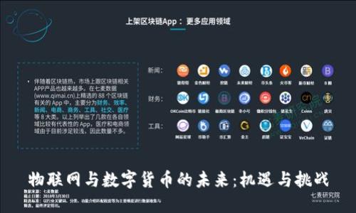 物聯(lián)網(wǎng)與數(shù)字貨幣的未來：機(jī)遇與挑戰(zhàn)