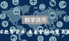 全球數(shù)字貨幣：未來金融