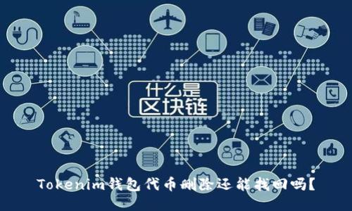 Tokenim錢包代幣刪除還能找回嗎？