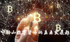遼寧鞍山數(shù)字貨幣的未來