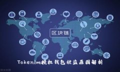 Tokenim授權(quán)錢包被盜原因解