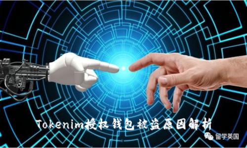 Tokenim授權(quán)錢(qián)包被盜原因解析