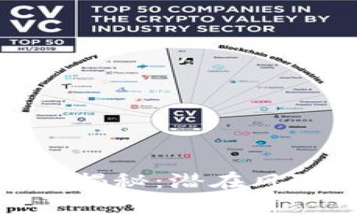 數(shù)字貨幣回調(diào)揭秘：潛在風(fēng)險(xiǎn)與投資策略