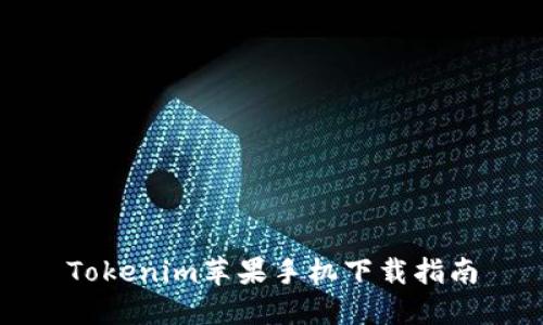 Tokenim蘋果手機(jī)下載指南