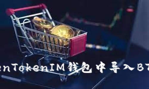 如何在TokenTokenIM錢包中導(dǎo)入BTS:詳細指南