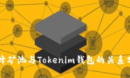 蜜蜂礦池與Tokenim錢包的關(guān)系分析