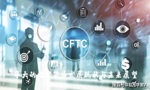 華大的數(shù)字貨幣發(fā)展現(xiàn)狀與未來展望