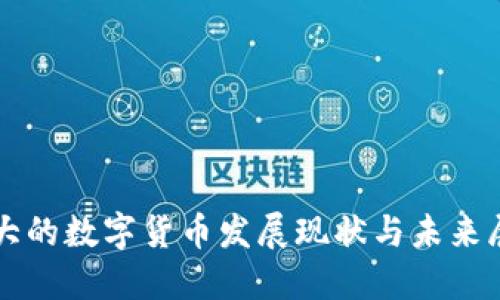 華大的數(shù)字貨幣發(fā)展現(xiàn)狀與未來展望