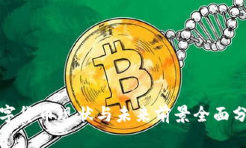 數(shù)字貨幣現(xiàn)狀與未來前景全面分析