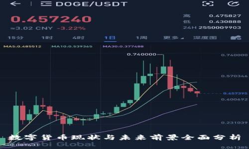 數(shù)字貨幣現(xiàn)狀與未來前景全面分析